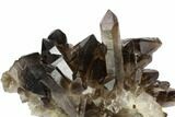 Dark Smoky Quartz Crystal Cluster - Brazil #124608-1